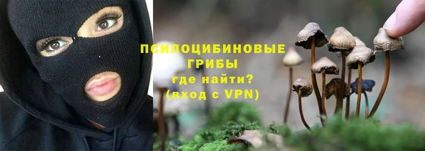 ALPHA PVP Беслан