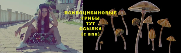 apvp Волосово