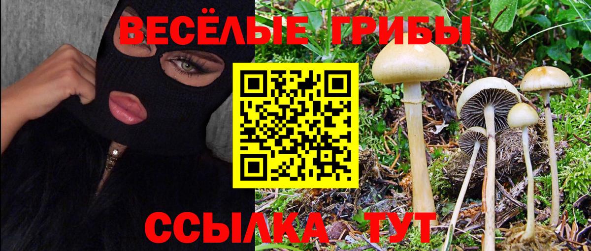 Бутират Горячий Ключ