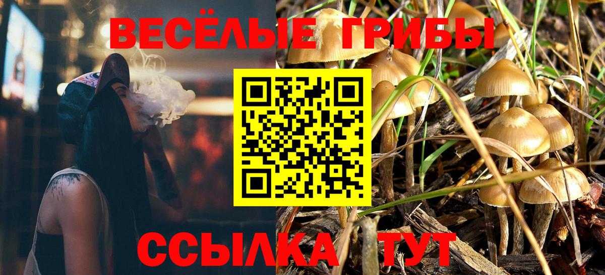 Галлюциногенные грибы MAGIC MUSHROOMS Горячий Ключ